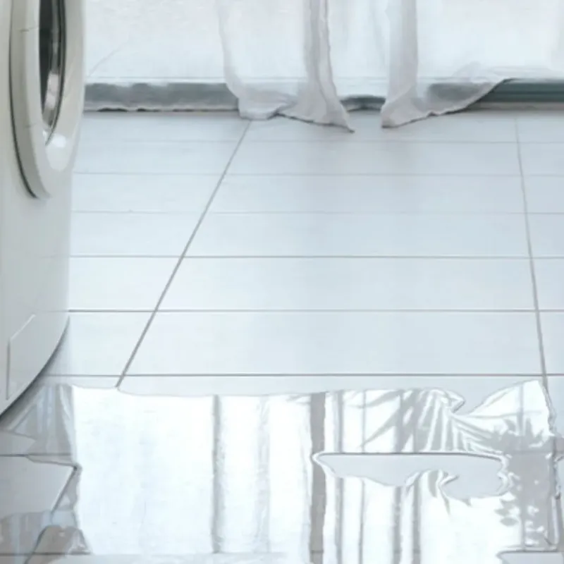 Appliance Leak Cleanup in Merkel, TX