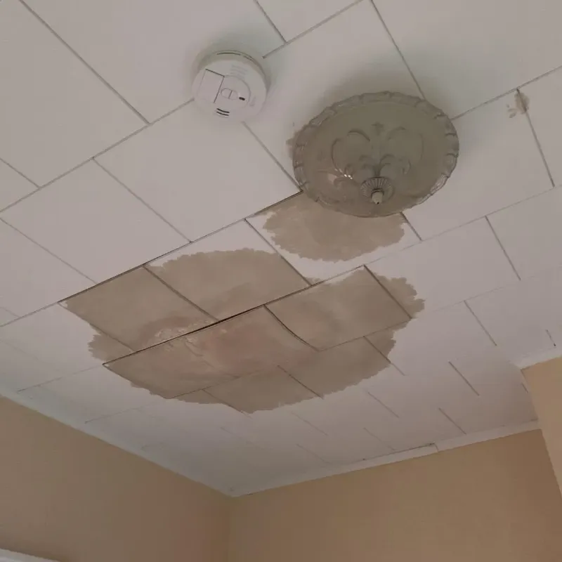Ceiling Water Damage Repair in Merkel, TX