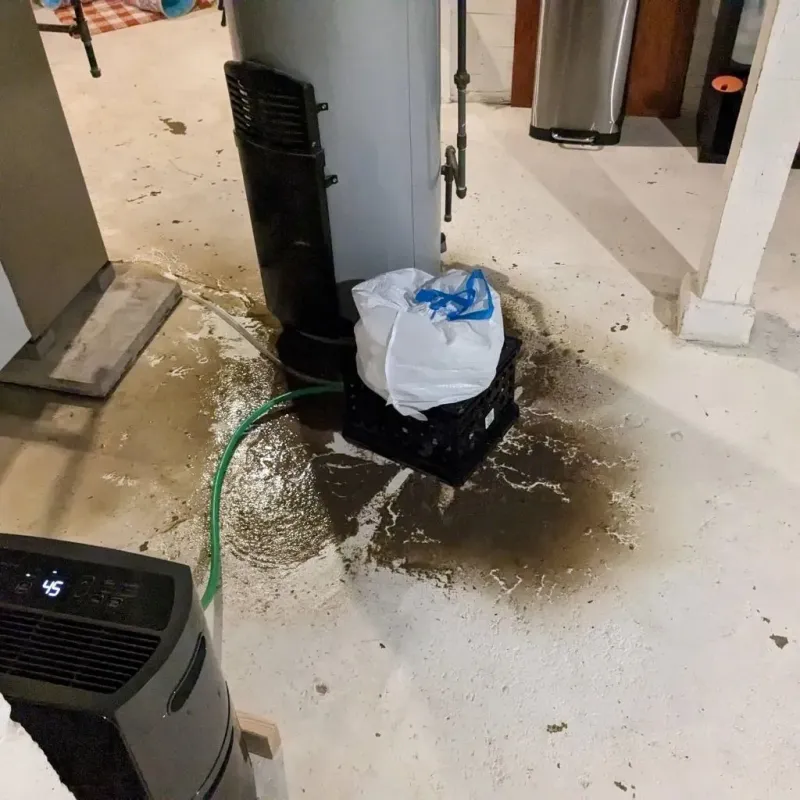 Sewage Backup Cleanup Service in Merkel, TX